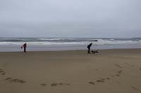13-family_at_the_beach-Rainier_gets_to_run_free_like_a_crazy_dog