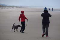 18-taking_a_little_walk_down_the_beach