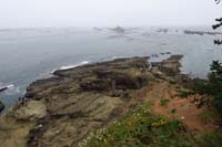 28-scenic_view-Daddy_wants_to_go_down_there,but_no_time-lots_of_sea_lions_making_noise