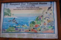 32-interpretive_sign-Respect_Our_Tidepool_Home-list_of_tide_pool_creatures