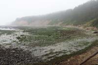 34-7_am-Cape_Arago_State_Park-North_Cove