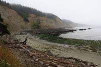 58-south_cove_view