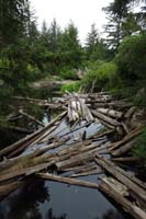 04-river_log_jam