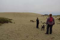 39-we_reached_the_sand_dune-trail_continues_to_ocean,but_we_want_to_play