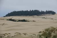 46-more_tree_islands