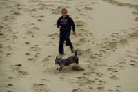 53-Kenny_and_Rainier_having_lots_of_fun_running_down_the_sand_dune_together