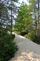 60-looking_back_to_trail_to_sand_dune