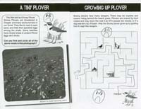 74-Oregon_Dune_NRA_Junior_Ranger_Program6