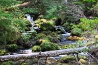 02-pretty_cascading_water_for_Watson_Creek