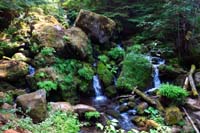 07-cascading_water_along_trail