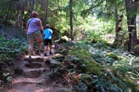 08-walking_up_the_trail-Daddy_can_smell_someone_toking_weed