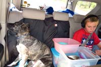 001-drive-Rainier_sleeping_sitting_up_while_Kenny_watches_something_on_his_tablet
