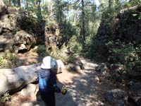 011-0900am-Kenny,Daddy_visit_Lava_River_Cave-used_park_lights,not_our-White_Nose_Syndrome_issue