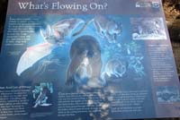 012-interpretive_sign_What's_Flowing_On