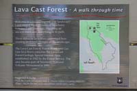 033-Lava_Cast_Forest-A_Walk_Through_Time