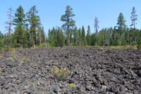 035-lava_field_and_forest_growth_since_volcanic_flow_over_6000_years_ago