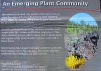 036-interpretive_sign-An_Emerging_Plant_Community