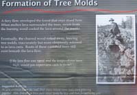 039-interpretive_sign-Formation_of_Tree_Molds