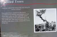 047-interpretive_sign-Twisted_Trees