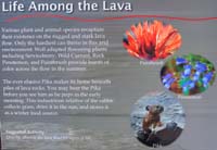 050-interpretive_sign-Life_Among_the_Lava