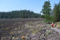 054-trail_continues_through_lava_field_with_an_island_of_trees_in_background