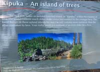 055-interpretive_sign-Kipuka-An_Island_of_Trees