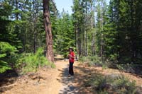 056-the_trail_even_travels_through_a_lush_forest