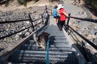 084-done_with_the_trail-Rainier_navigates_the_graded_stairway_without_a_problem