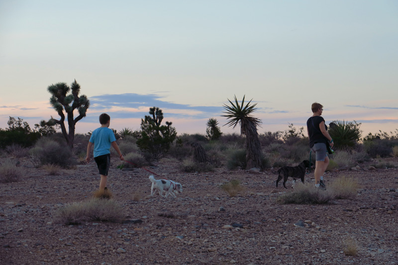 11-walking_the_dogs_in_the_desert