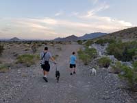 07-family_walking_Rainier_and_Brinkley_in_desert_behind_our_house