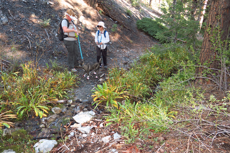 04-family_at_Macks_Canyon_Spring