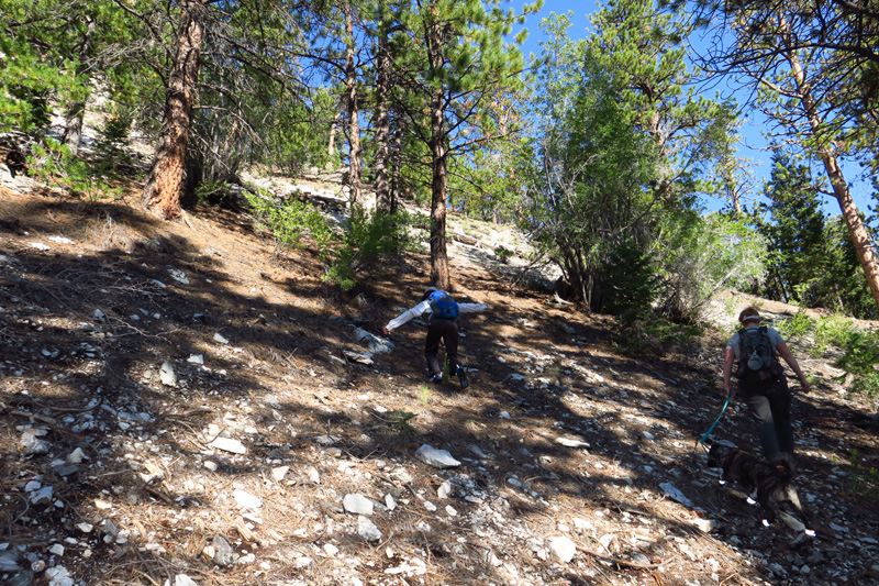 05-hiking_up_the_steep_looseish_terrain