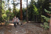 03-hiking_up_easy_trail