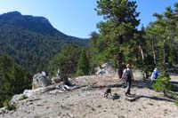 07-easy_ridgeline_approach_through_forested_area