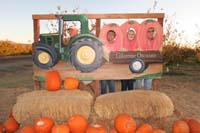 35-family_fun_at_Gilcrease_Orchard_to_find_a_pumpkin