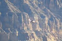 64-plane_lowers_into_the_canyon-photos_forwarded_to_local_ranger_for_law_enforcement