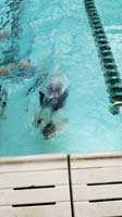 03-Kenny_warming_up_in_the_pool