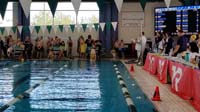 21-diving_in_the_water_for_butterfly