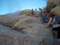 06-lots_of_great_scrambling