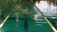 16-200_freestyle-cut_8_seconds_off-9th_place