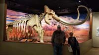 71-Columbian_Mammoth_skeleton
