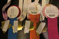 81-Kenny's_medals_and_ribbons