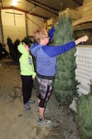 01-picking_out_our_Christmas_tree_from_Gilcrease_Orchard