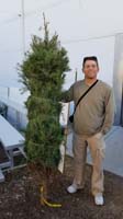 02-Daddy_with_our_tree,not_our_first_choice,but_adequate