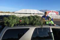 04-tree_strapped_to_the_roof_of_the_4Runner