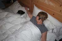 26-what_a_spoiled_dog-pampered_treatment_in_bed-hey_that's_Daddy's_spot