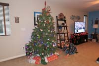 08-Kenny_ready_to_open_gifts-our_sorry_tree_that_is_dropping_needles_like_crazy