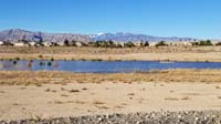 13-Tule_Springs_area-uncommon_pond_due_to_recent_rain-distant_snowy_peaks