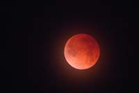 48-Super_Blue_Blood_Moon-20180131-last_seen_in_1866,next_on_Jan_31_2037