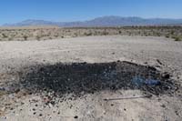 23-spread_out_wood_to_extinguish,called_authorities,worried_about_brush_fire_due_to_high_winds_later
